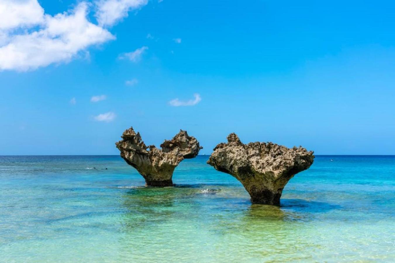 Makai Green ناكيجين المظهر الخارجي الصورة